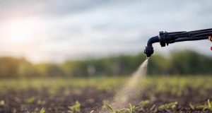 Désherbage parfait grâce au dosage, à la météo et au pulvérisateur