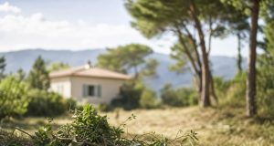 Obligations de débroussaillage dans la Loire pour protéger votre propriété