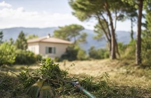 Obligations de débroussaillage dans la Loire pour protéger votre propriété